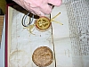 Erfurt 2010 026.jpg Erfurt 2010 026.jpg